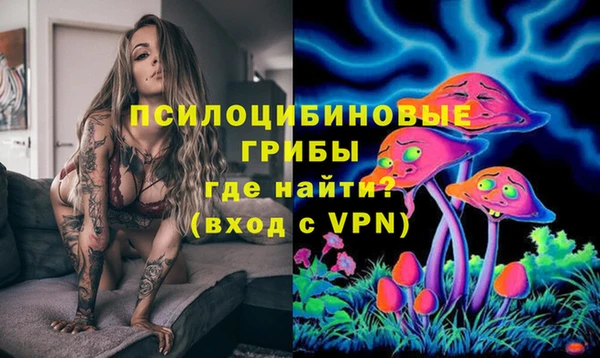 дмт Володарск