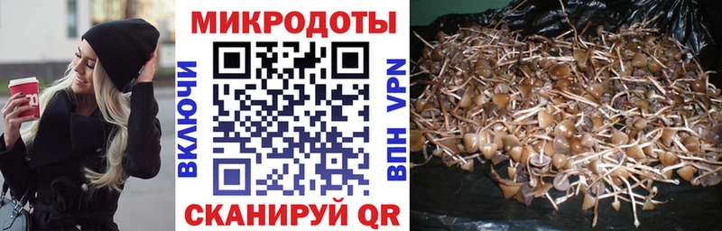 Галлюциногенные грибы GOLDEN TEACHER  Заречный 